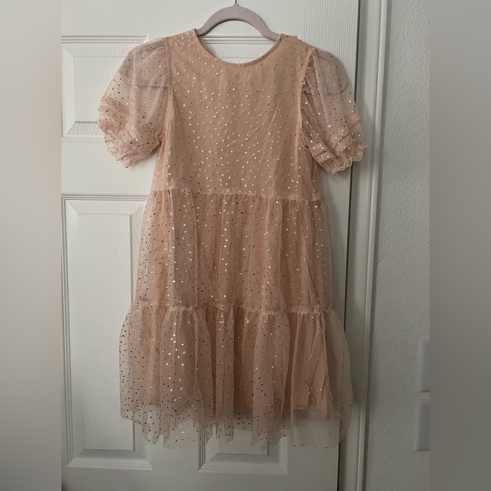 Zara Soft Pink Sheer Dress with Gold Accents